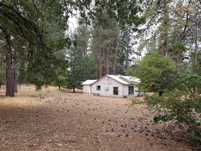 photo 2: Lot 7 & 10 Rock Creek Road, Manton CA 96059