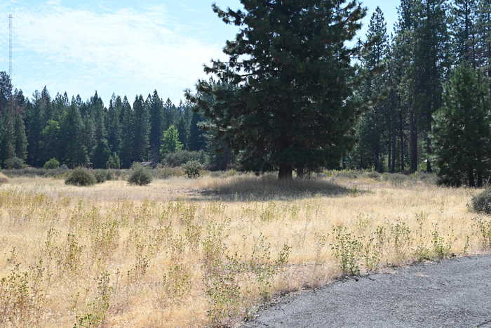 photo 1: Long Leaf Ln, Burney CA 96013