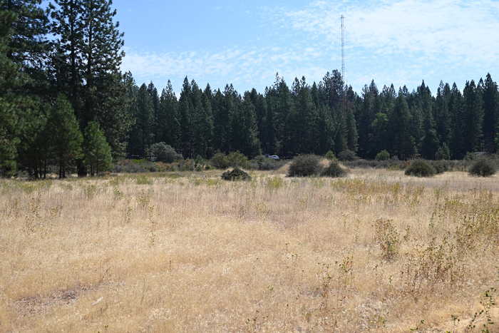 photo 2: Long Leaf Ln, Burney CA 96013