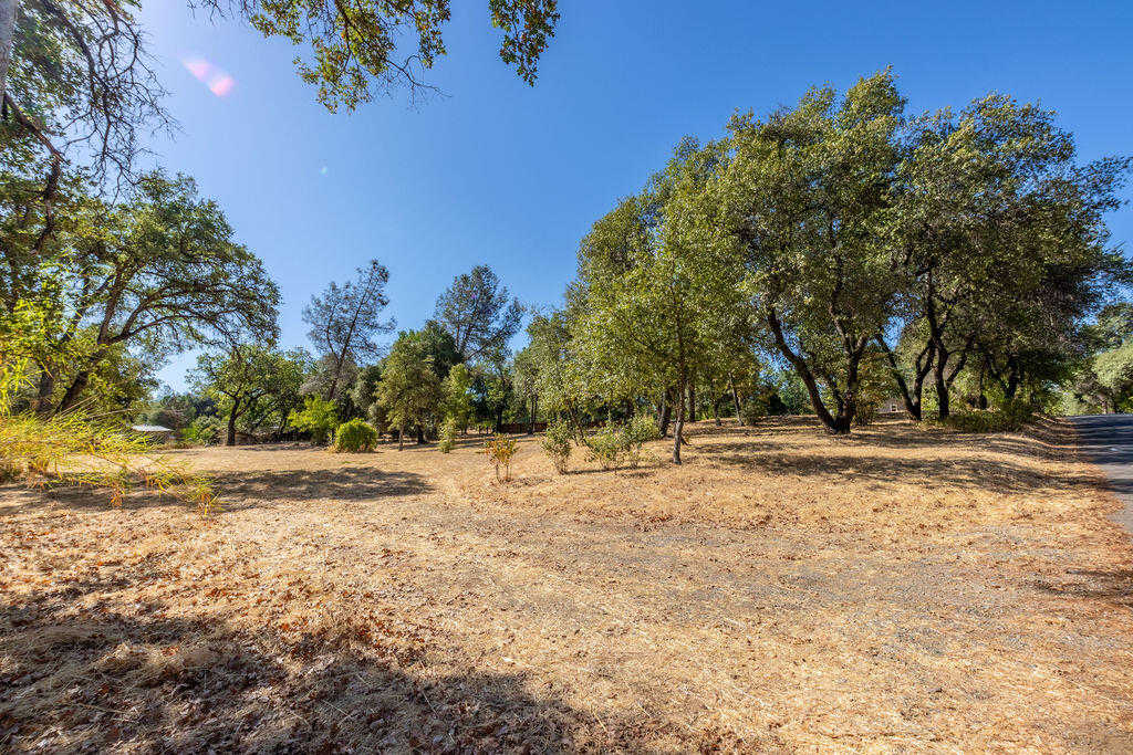 photo 3: Black Canyon Rd, Shasta Lake CA 96019