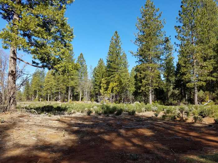 photo 1: Lot 32 Shingle Glen Trail, Shingletown CA 96088