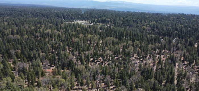 photo 23: Lot 32 Shingle Glen Trail, Shingletown CA 96088