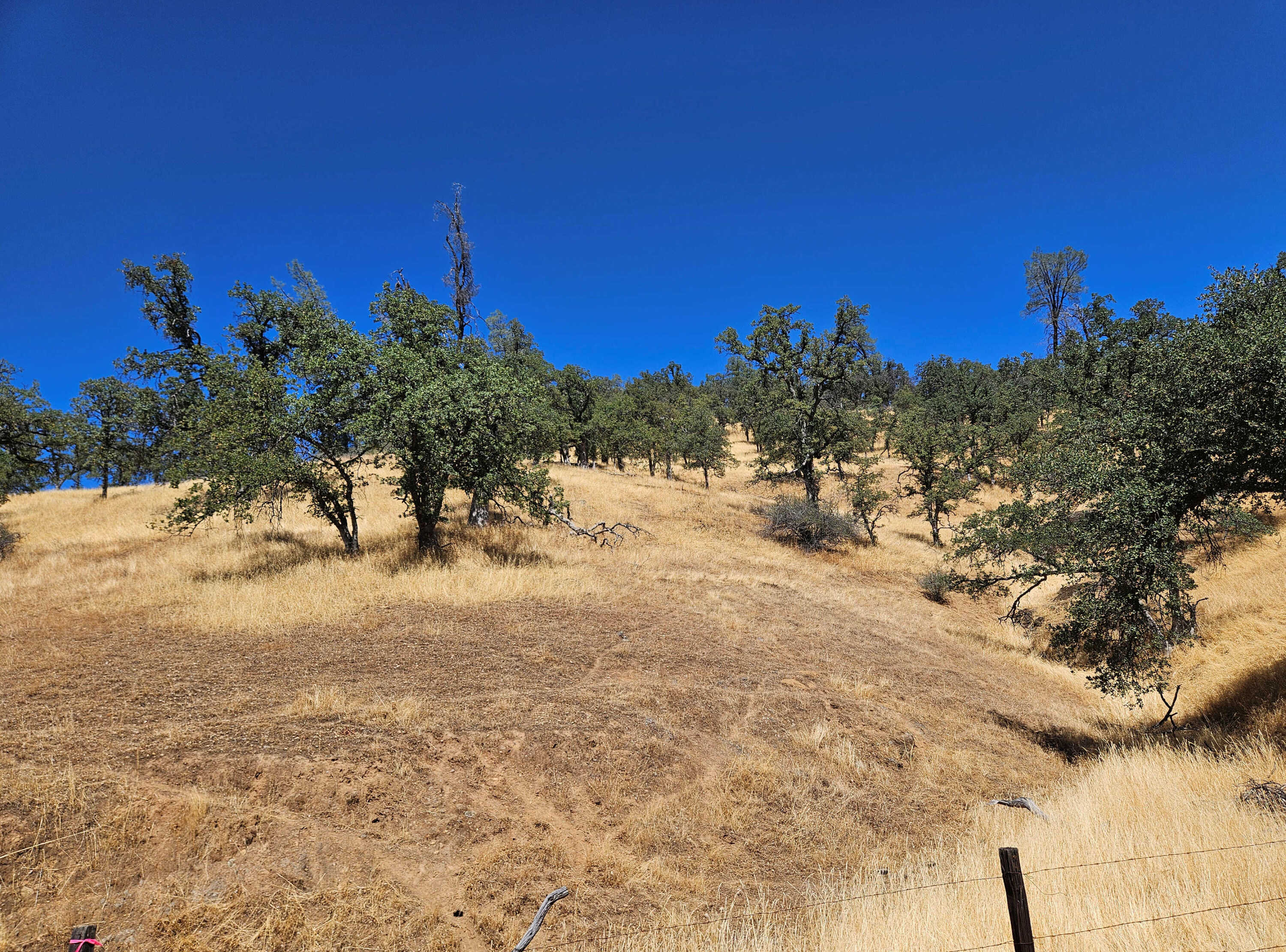 photo 1: 119 acres Platina Road, Igo CA 96047