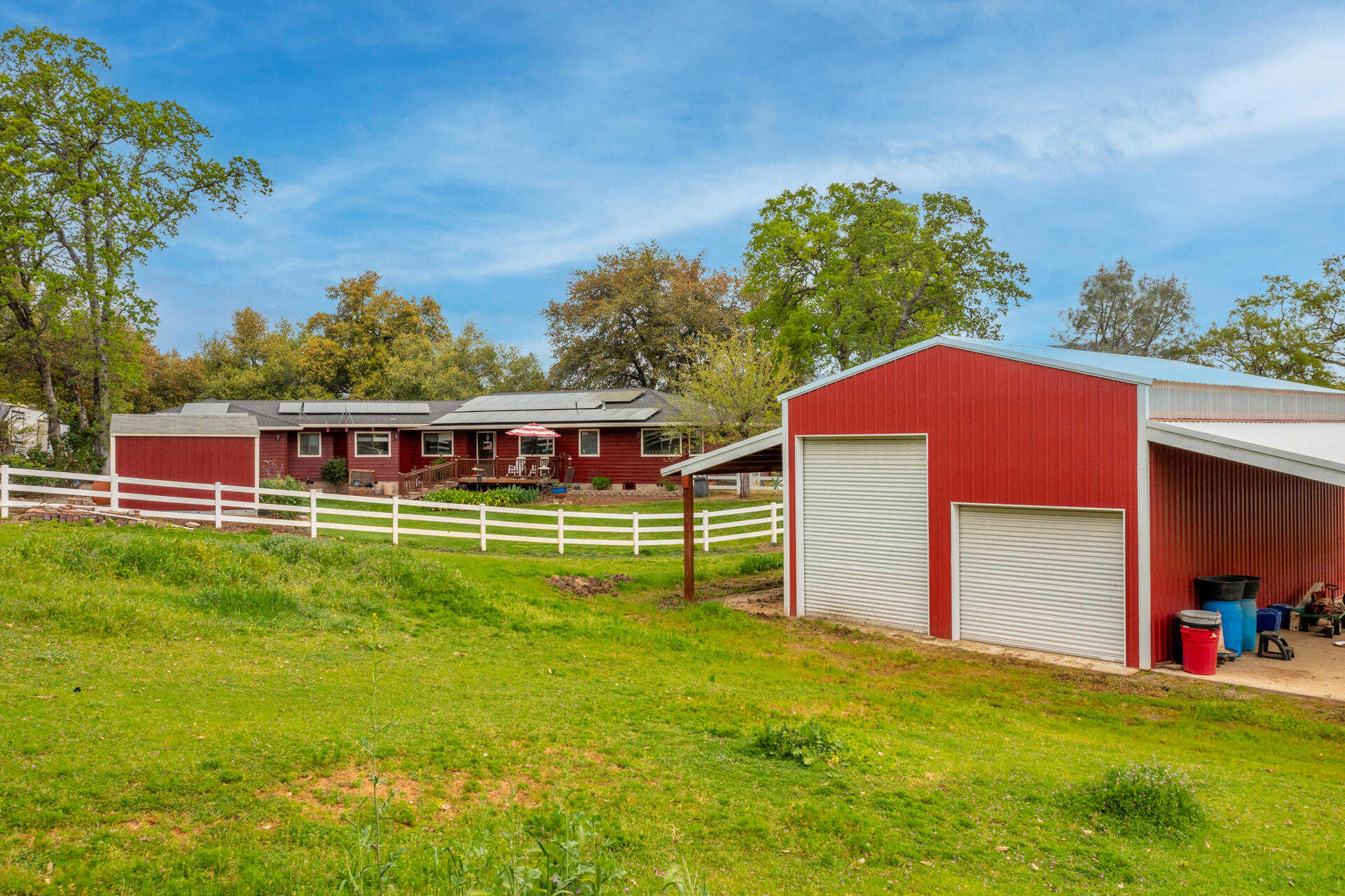 photo 3: 20424 Helena Oaks Lane, Redding CA 96003