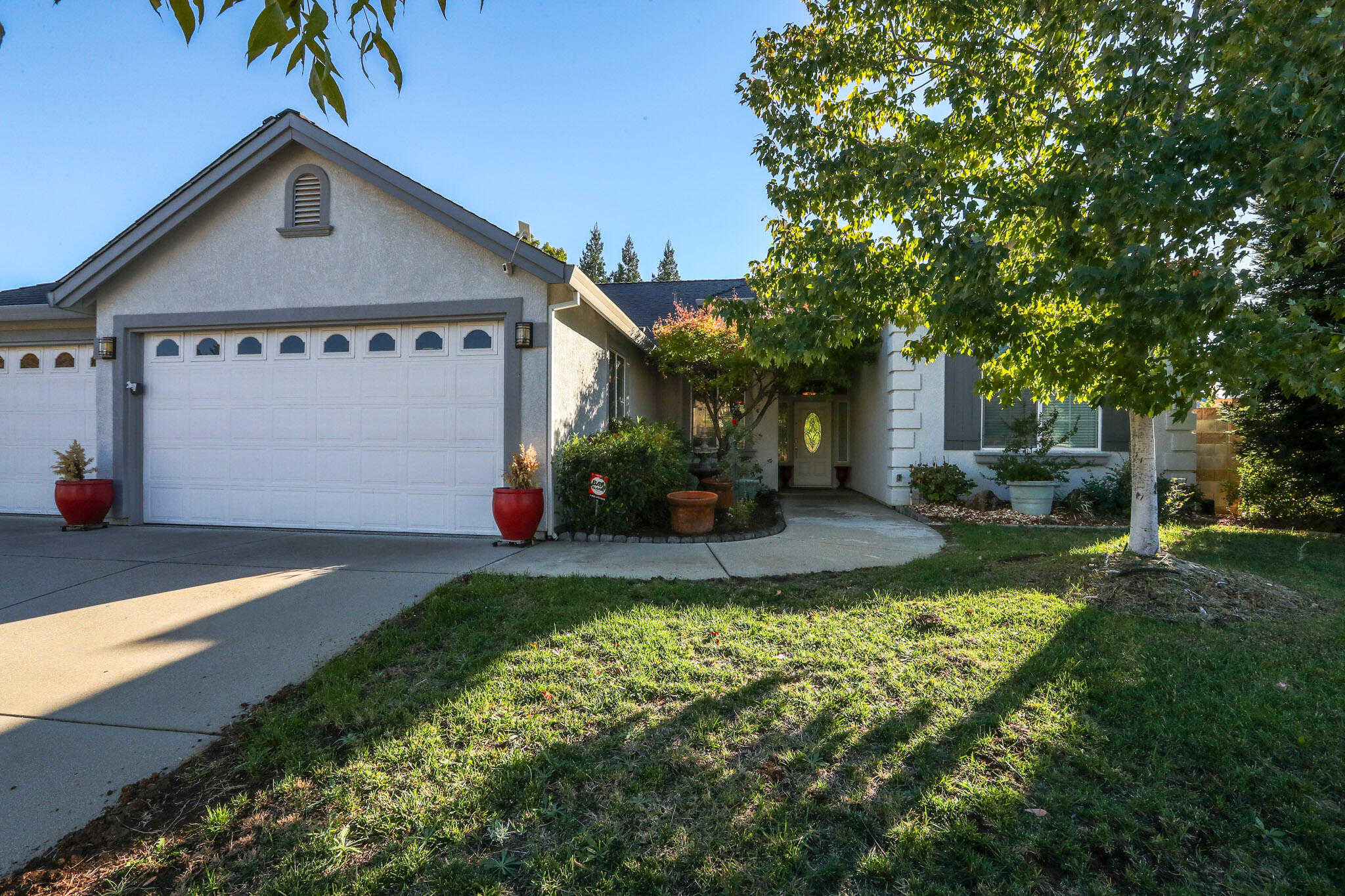 photo 3: 3875 Mario Avenue, Redding CA 96001