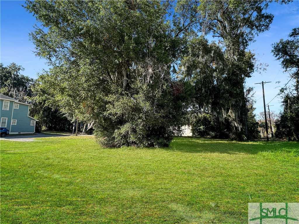 photo 3: W 38th Street, Savannah GA 31415