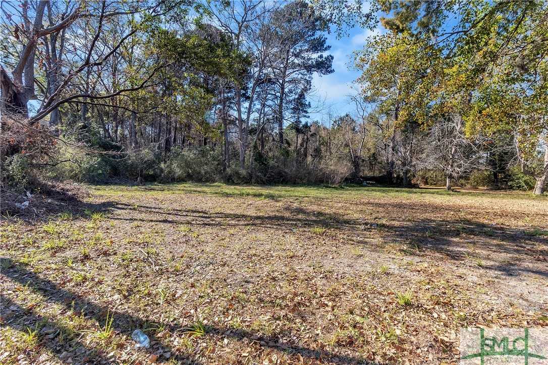 photo 1: Cooper Lane, Garden City GA 31408