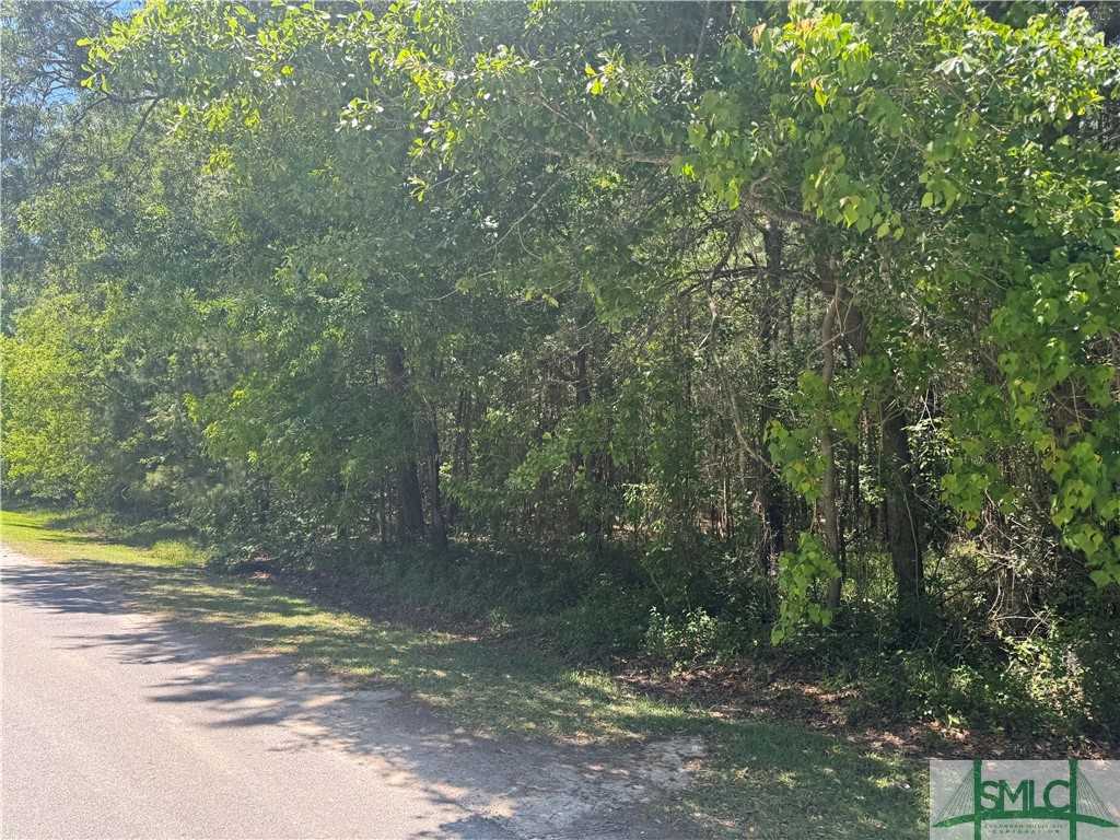 photo 3: Hawkinsville Road, Garden City GA 31408