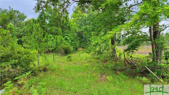 photo 1: 776 Mt Pleasant Road, Clyo GA 31303