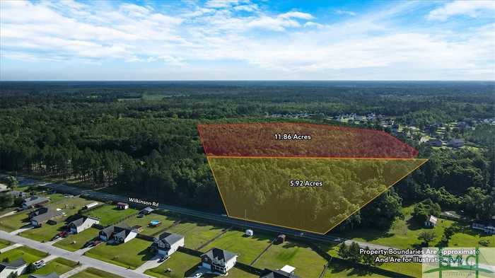 photo 1: 17.78 AC Wilkinson Road NE, Ludowici GA 31316