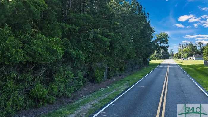 photo 10: 17.78 AC Wilkinson Road NE, Ludowici GA 31316