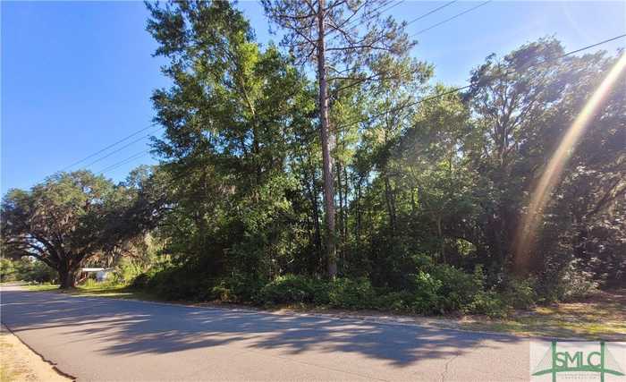 photo 1: Griffin Road, Allenhurst GA 31301