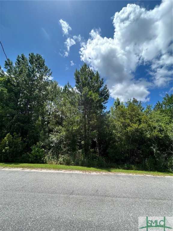 photo 1: Lot 18 Main Trail, Midway GA 31320