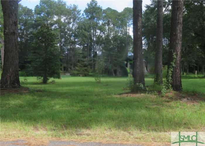 photo 1: 305 Woodside Way, Ellabell GA 31308