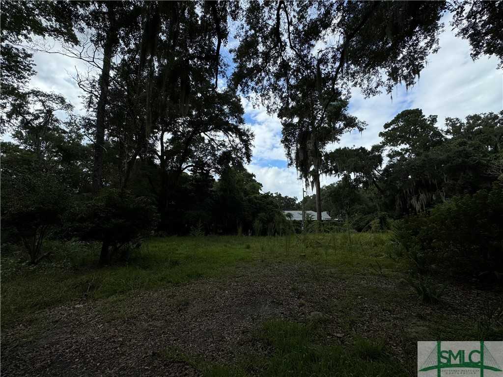 photo 1: 7408 Driftwood Avenue, Savannah GA 31406