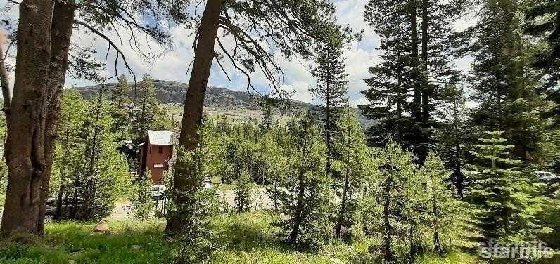 photo 3: 33839 Hawkweed Way, Kirkwood CA 95646