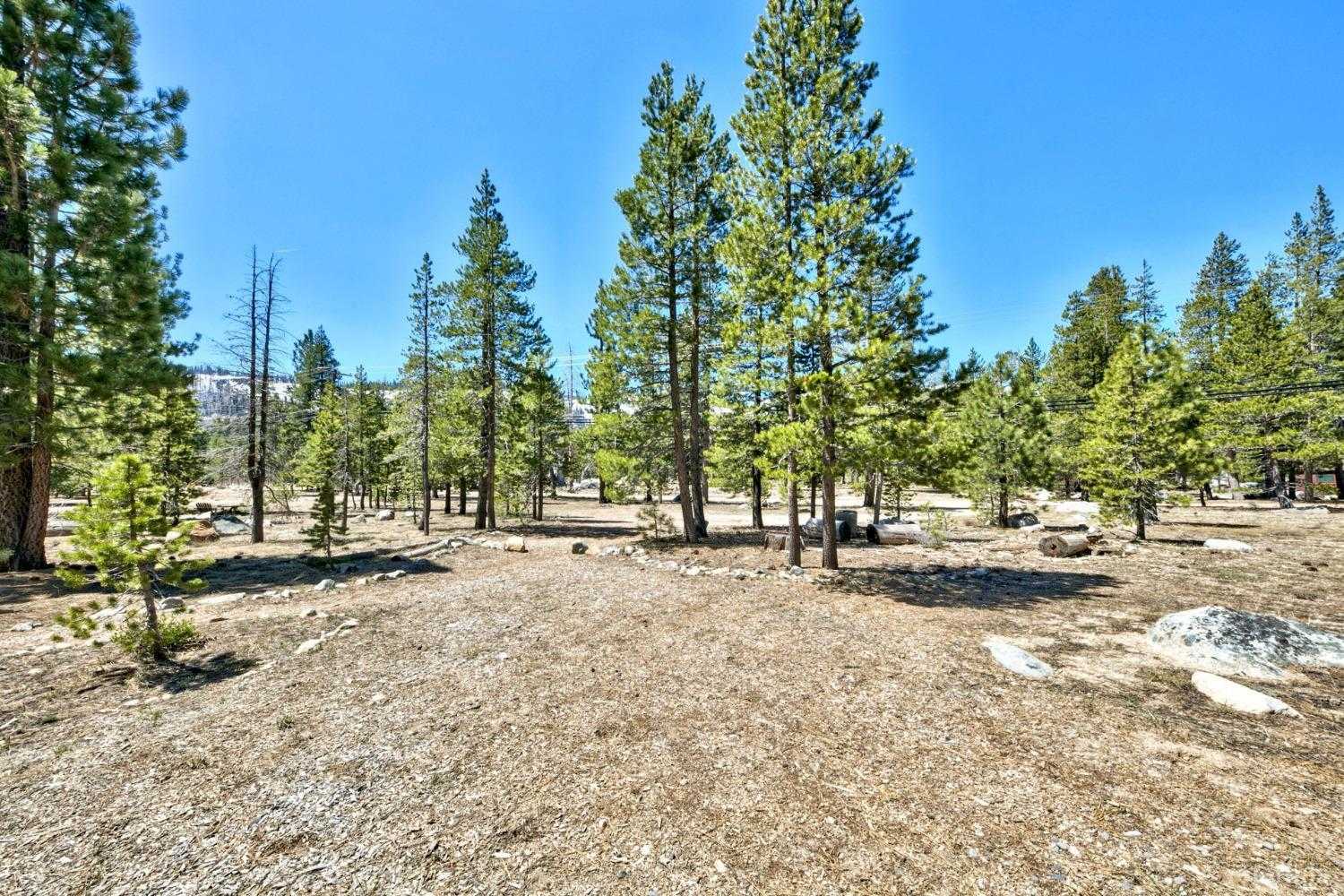 photo 2: 2342 Wasabe Drive, South Lake Tahoe CA 96150