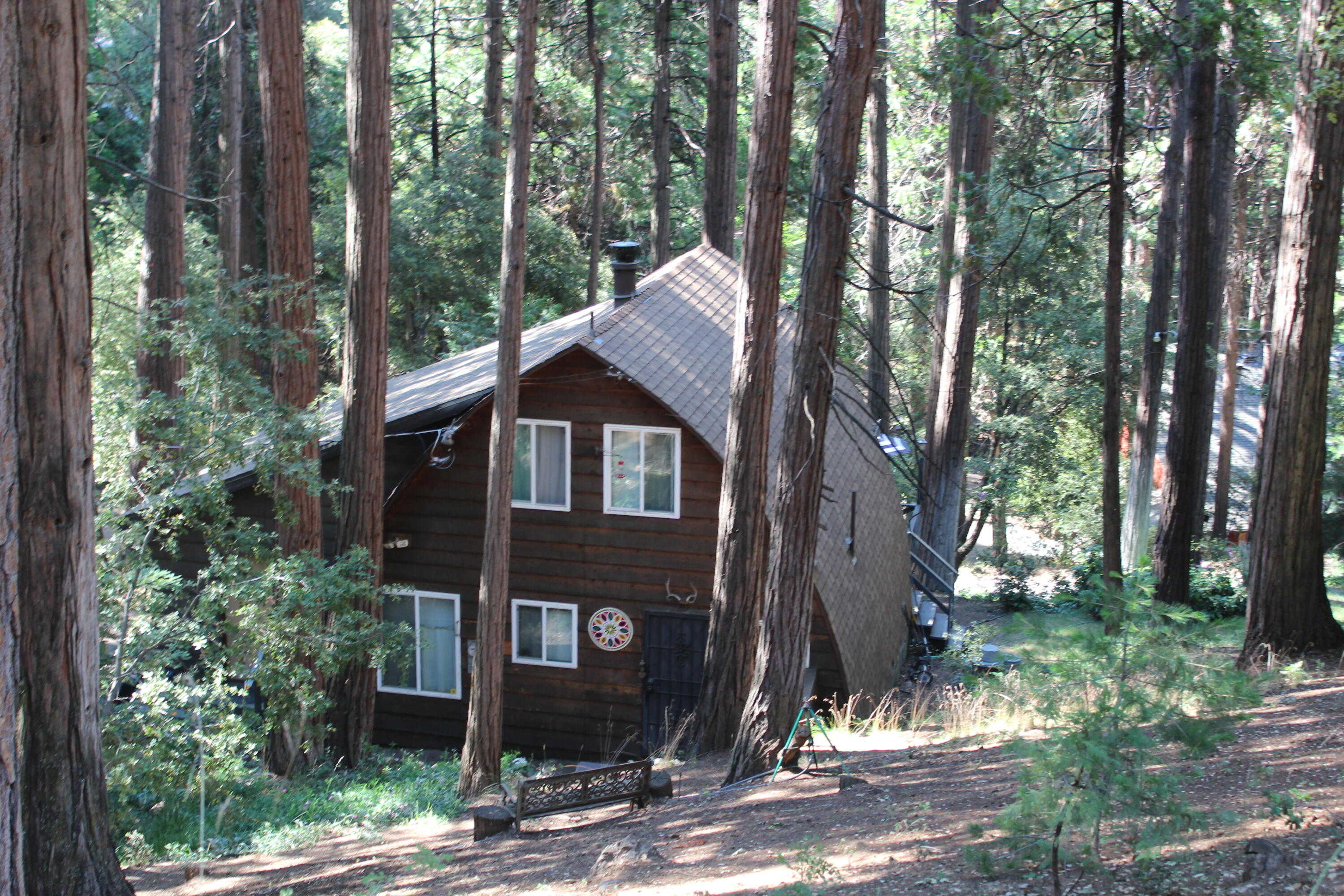 photo 3: 1495 Nelson Drive, Camp Nelson CA 93265