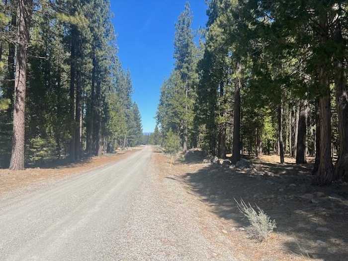 photo 2: 0000 Amodei Ranch Road, Sierraville CA 96126