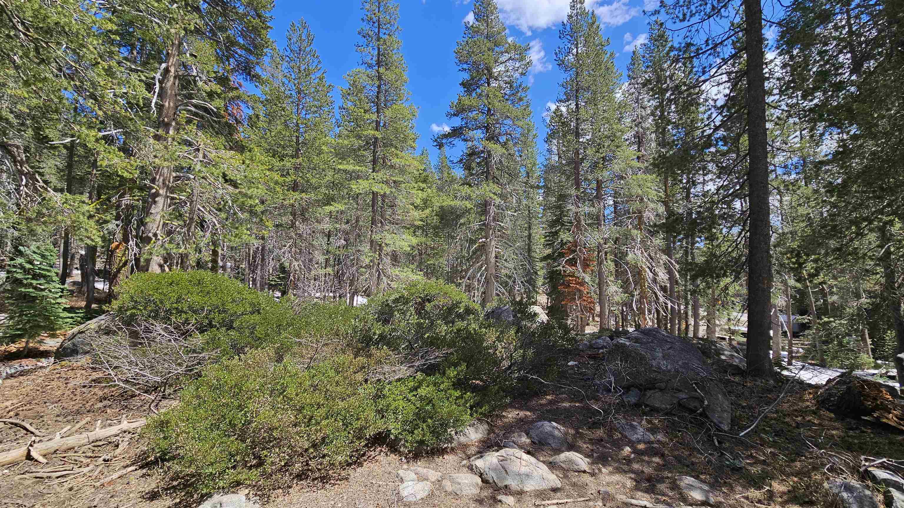 photo 3: 10060 Bunny Hill Road, Soda Springs CA 95728