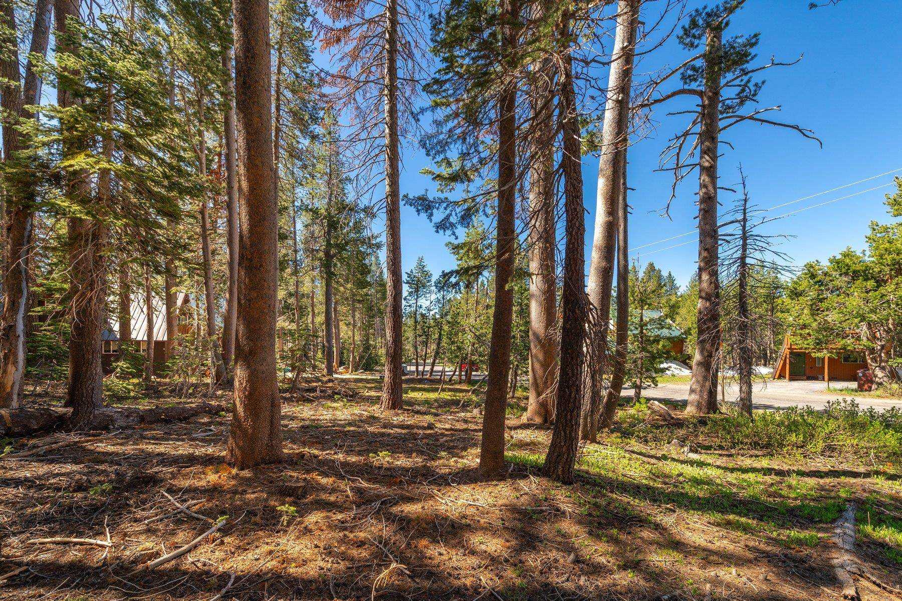 photo 3: 6626 Yuba Drive, Soda Springs CA 95728