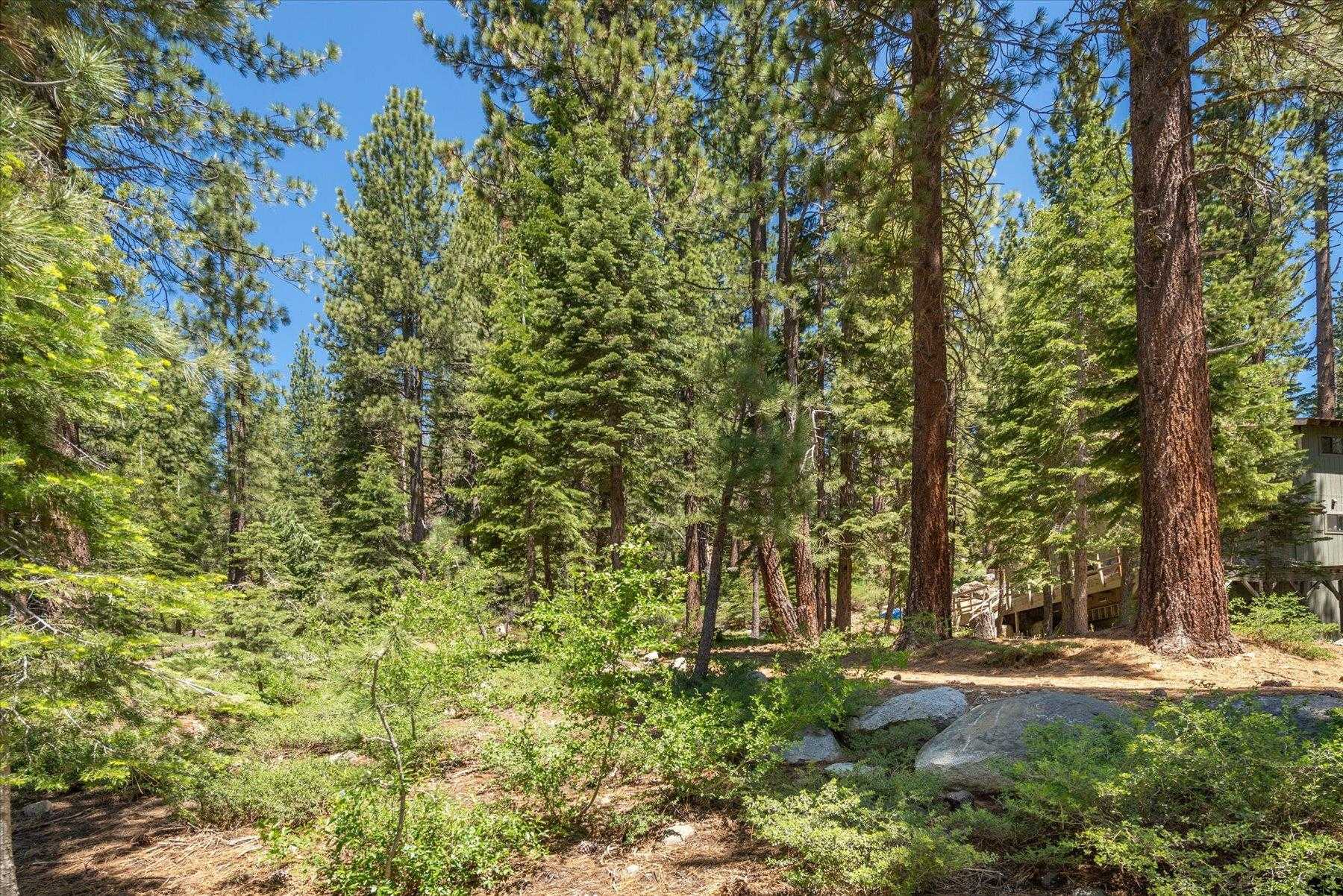 photo 3: 50842 Red Fir Terrace, Soda Springs CA 95728