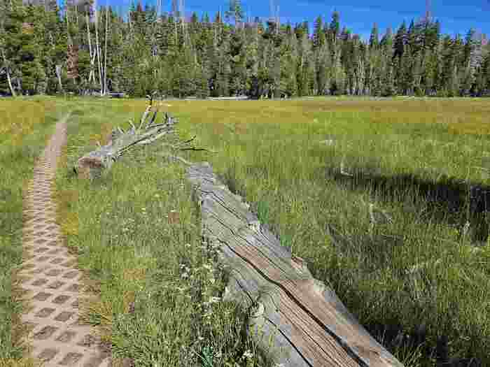 photo 21: 1003 SnowShoe Road, Tahoe City CA 96145