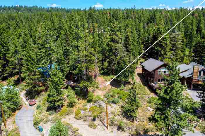 photo 19: 12902 Palisade Street, Truckee CA 96161