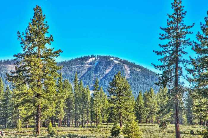 photo 1: 9701 Highway 267, Truckee CA 96161