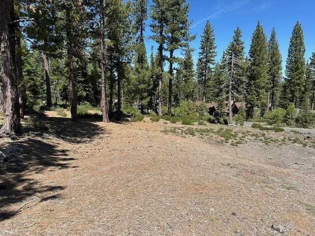 photo 1: 8641 Lloyd Tevis, Truckee CA 96161