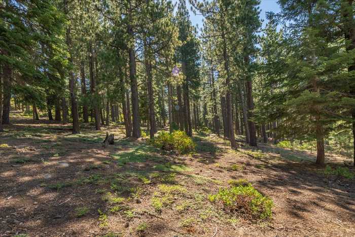 photo 2: 12241 Northwoods Boulevard, Truckee CA 96161