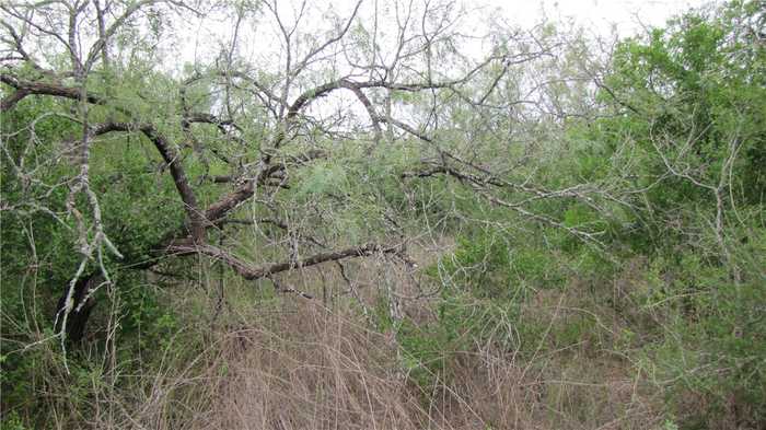 photo 2: IH 37 (OFF), Mathis TX 78368