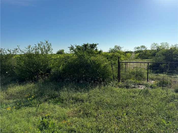 photo 6: County Road 2391, Orange Grove TX 78372