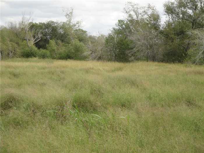 photo 1: TBD Vogelsang Lane, Mathis TX 78022