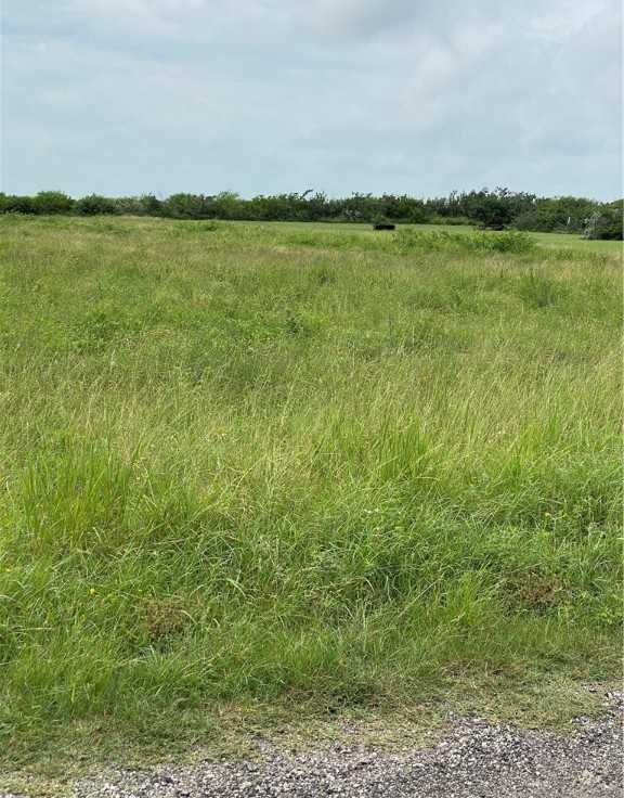 photo 1: 3088 CR 3088, Orange Grove TX 78372