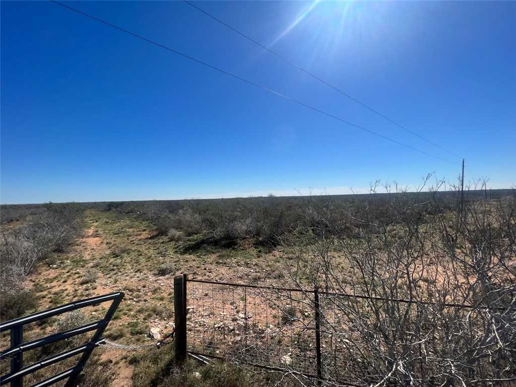 photo 1: County Road 282, Benavides TX 78341