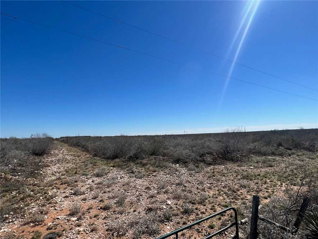 photo 3: County Road 282, Benavides TX 78341