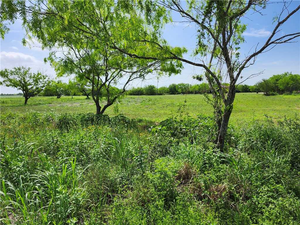 photo 1: 615 County Road 3053, Orange Grove TX 78372