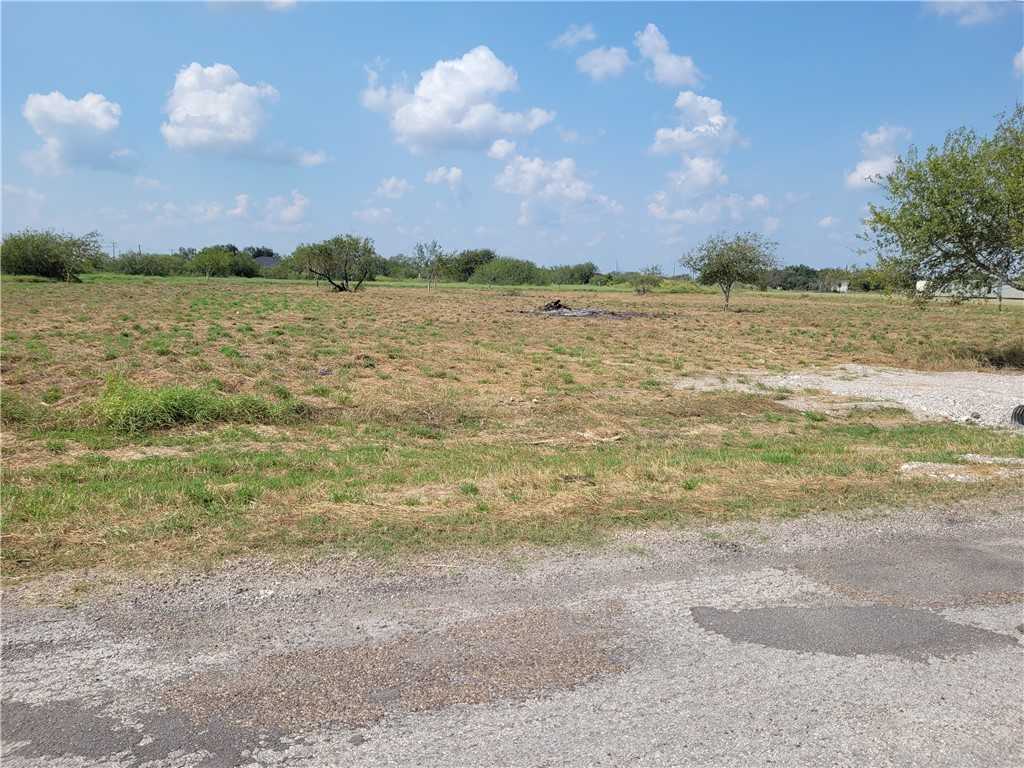 photo 1: 220 County Road 348, Orange Grove TX 78372