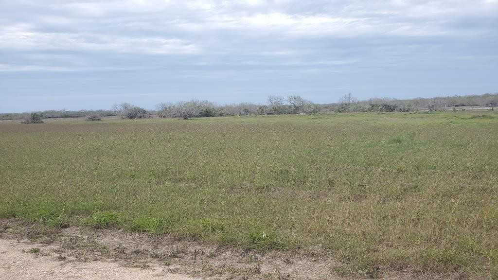 photo 1: Lot 5 T-Head Drive, Riviera TX 78379