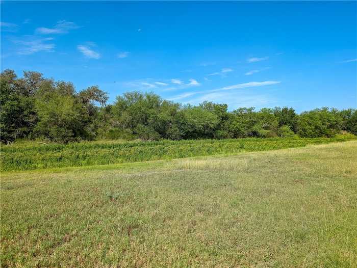 photo 39: 155 Buffalo Road, George West TX 78022