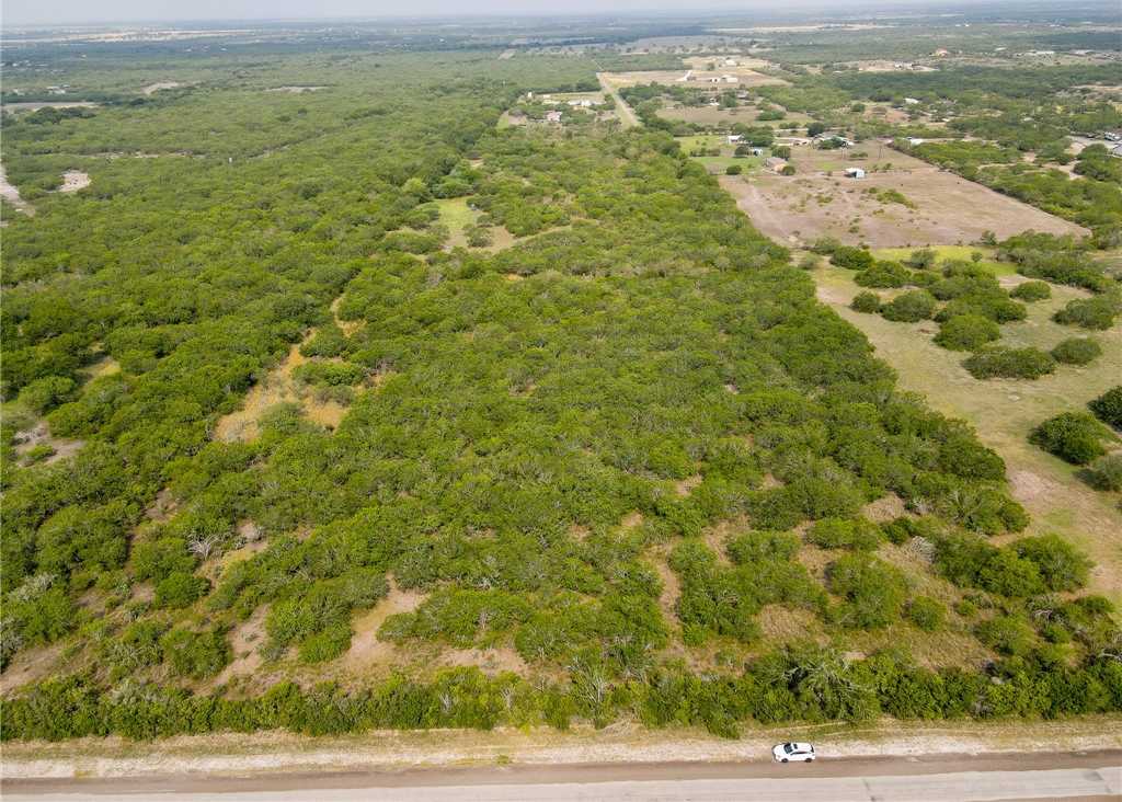 photo 1: County Road 308, Orange Grove TX 78372