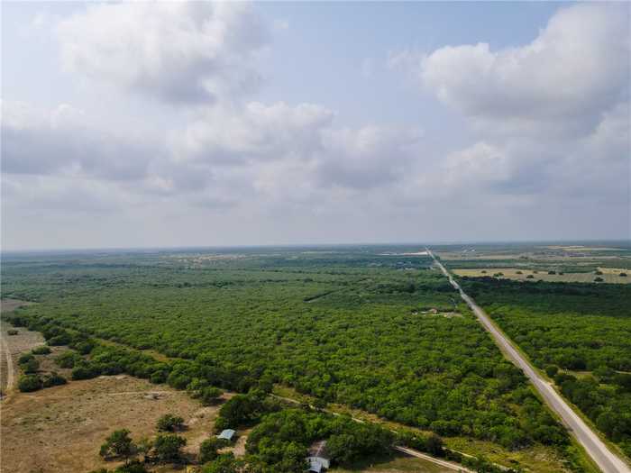 photo 12: County Road 308, Orange Grove TX 78372