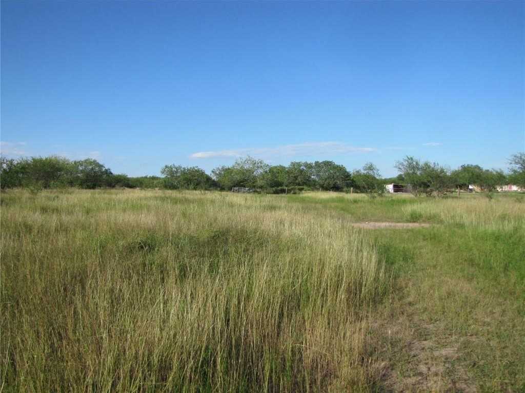 photo 1: W County Road 303, Orange Grove TX 78372