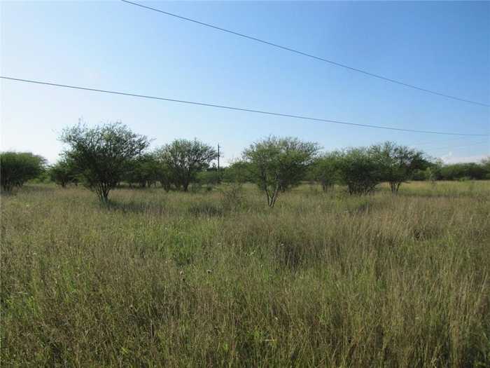 photo 2: W County Road 303, Orange Grove TX 78372