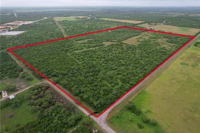 photo 7: County Road 3081, Orange Grove TX 78372