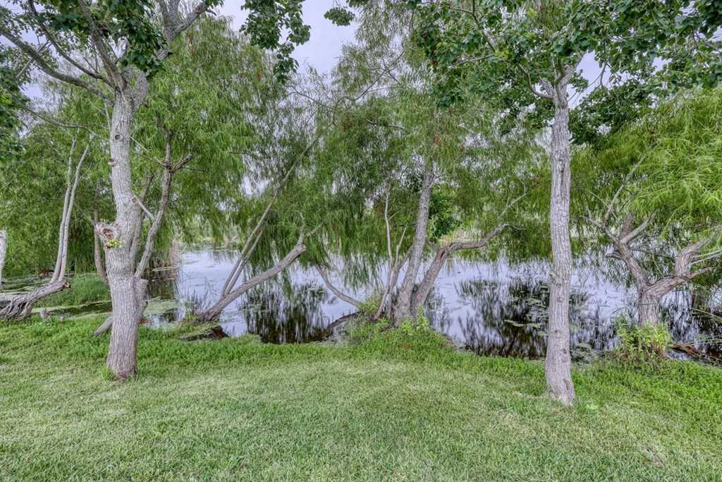 photo 3: 233 Lakeview Drive, Rockport TX 78382