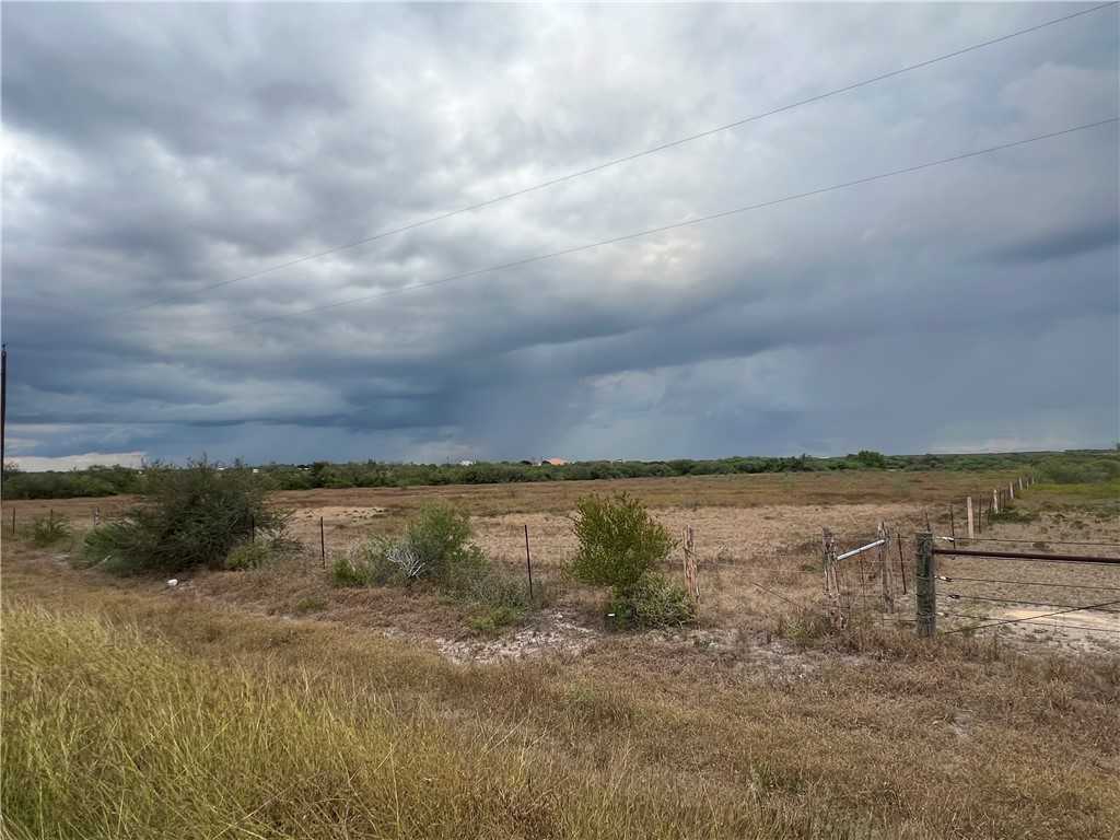 photo 2: N HWY 281, Orange Grove TX 78372