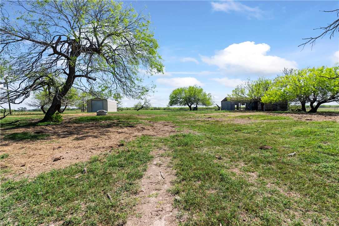 photo 2: E E County Road 2140, Kingsville TX 78363