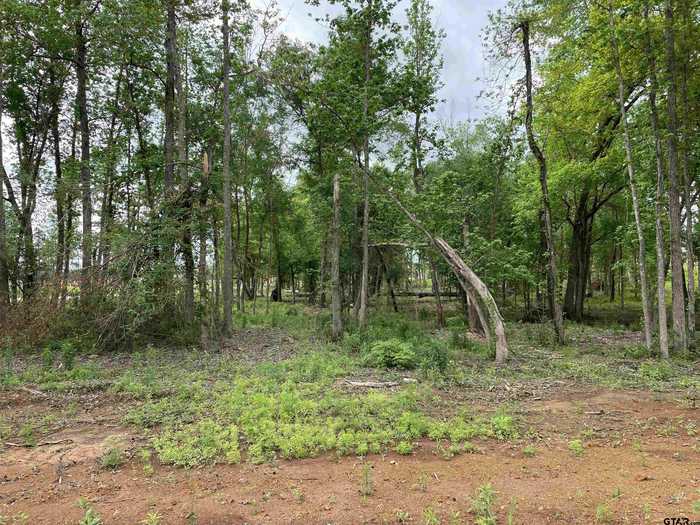 photo 14: TBD CR 2426/Oak Lot 2, Alto TX 75925